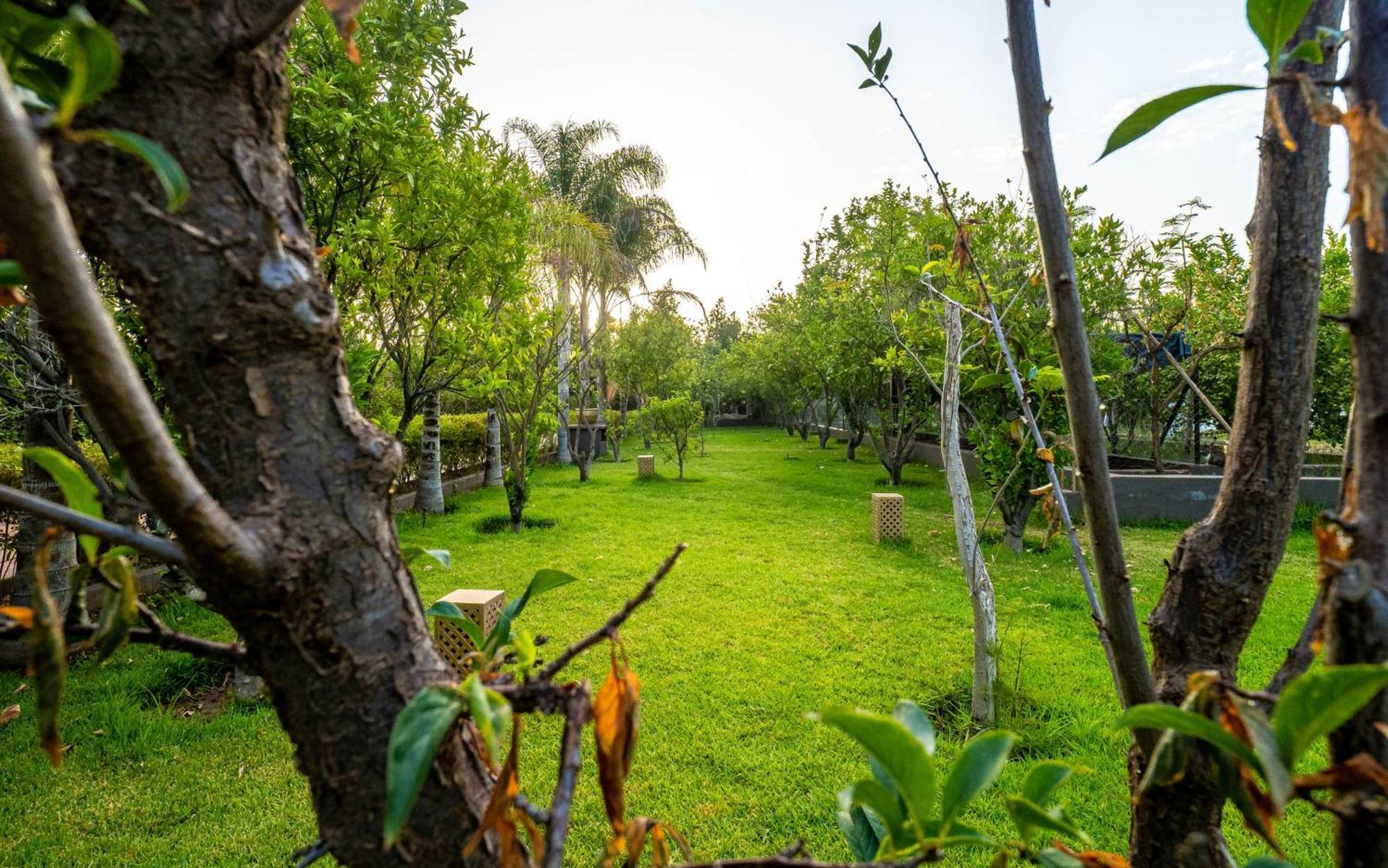 ホテル The Lemonary Marrakech Ouled Moumen エクステリア 写真