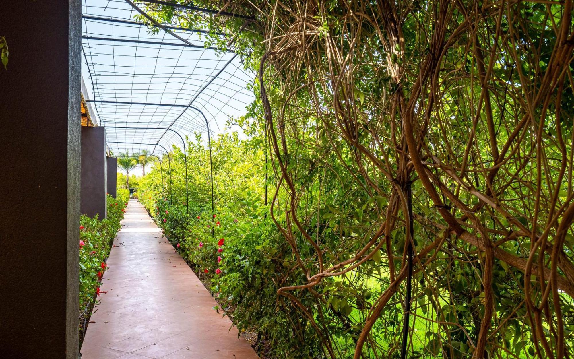ホテル The Lemonary Marrakech Ouled Moumen エクステリア 写真