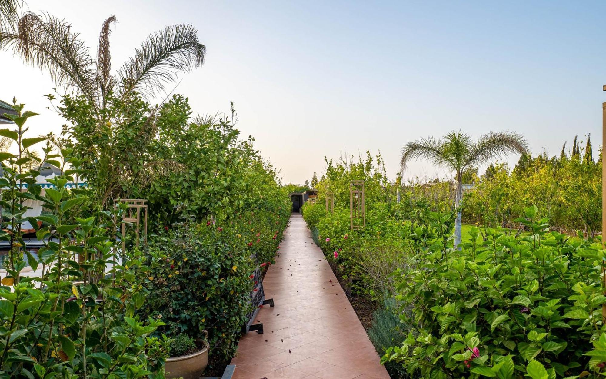 ホテル The Lemonary Marrakech Ouled Moumen エクステリア 写真